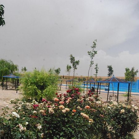 Hotel Taddart مدلة المظهر الخارجي الصورة